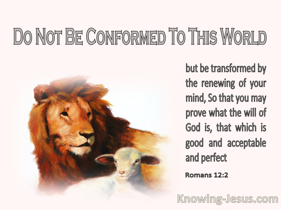 Romans 122 Be Transformed By The Renewing Of Your Mind Pink 